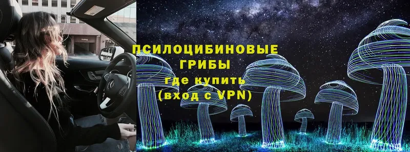 Галлюциногенные грибы Psilocybine cubensis Усмань